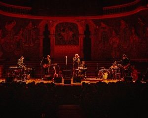 Excursão Tindersticks