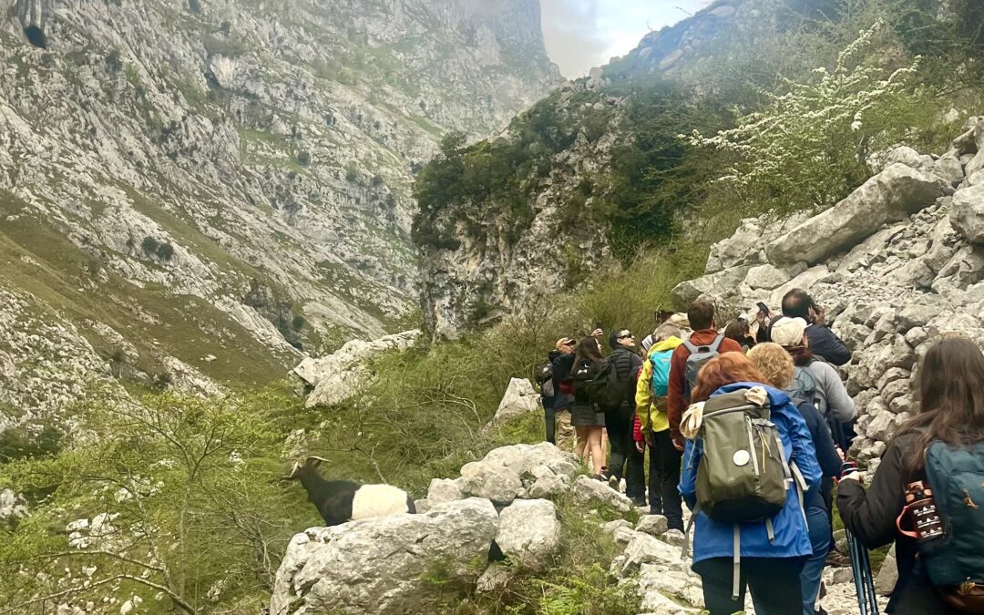 Terapia do Trekking