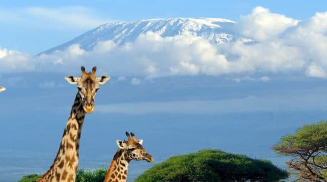Explora os Desafios e Belezas da Subida ao Jbel Toubkal