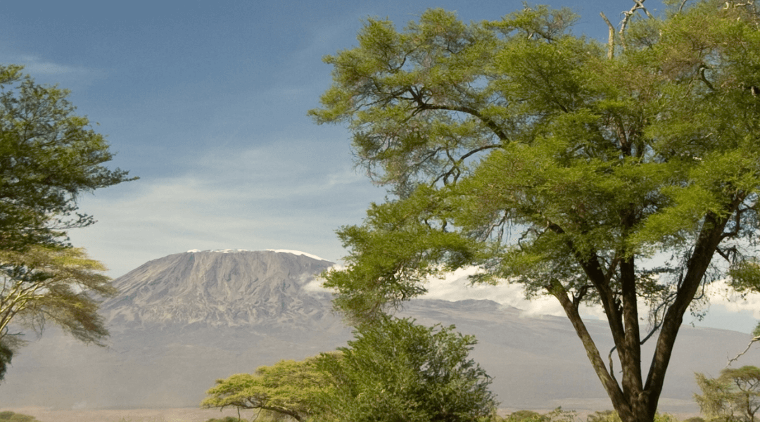 Escalar o Kilimanjaro em Junho: Clima e Temperatura
