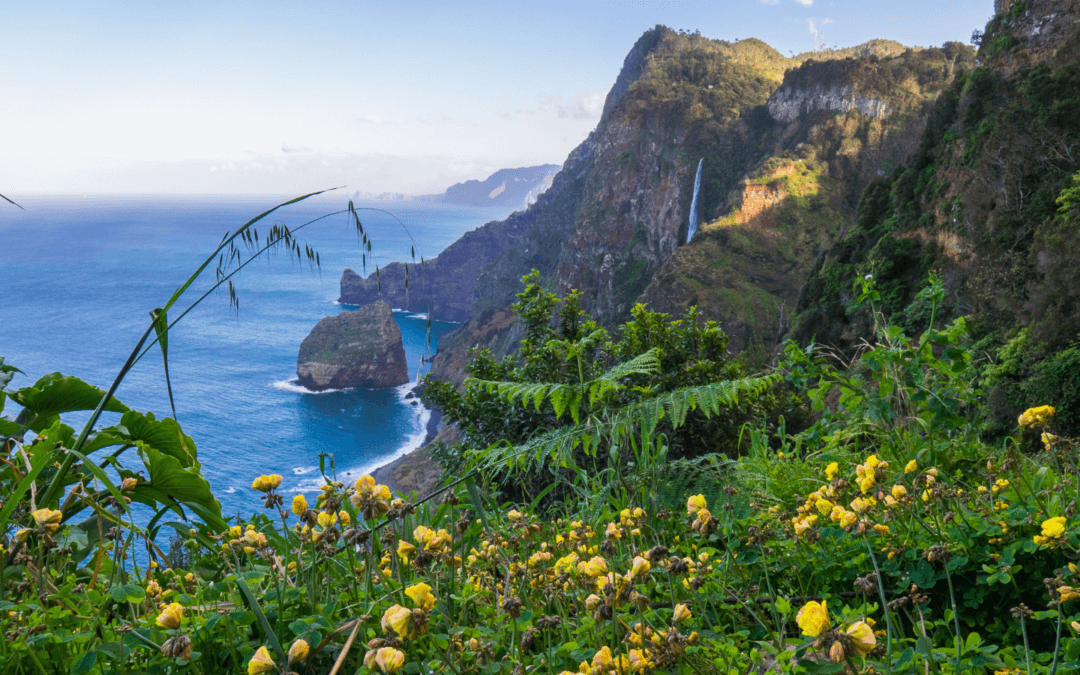 Trekking na Ilha da Madeira: Um Paraíso para Aventureiros