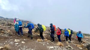 Trekking at Kilimanjaro → Strike Tours