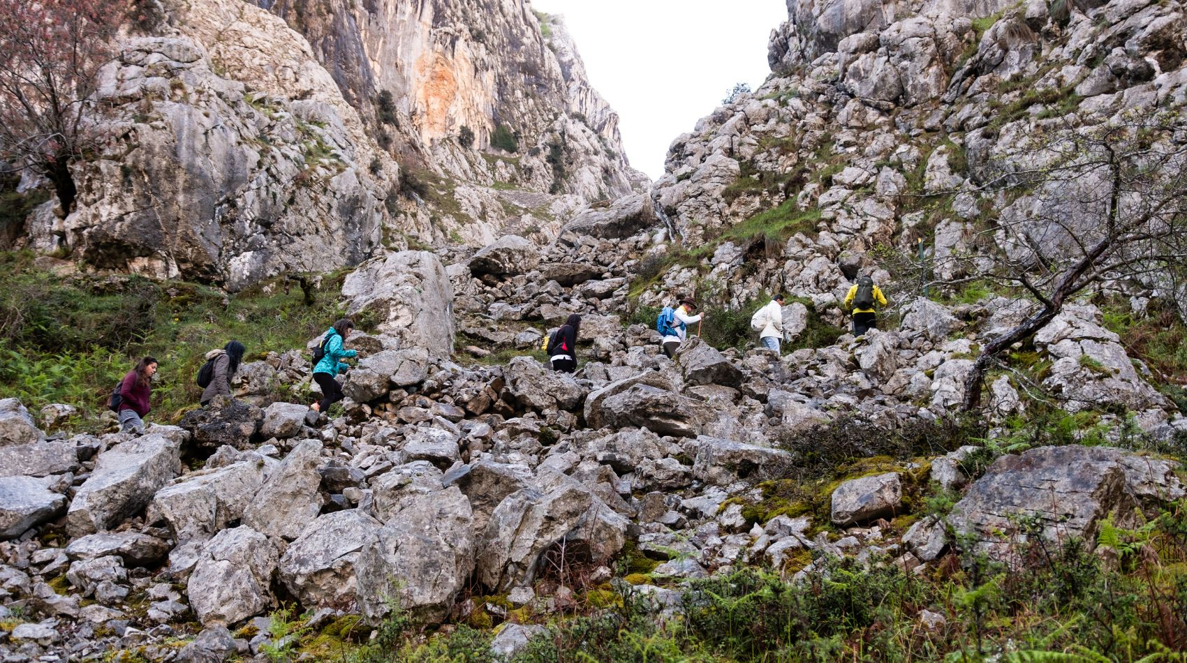 PICOS EXTREME16 → Strike Tours