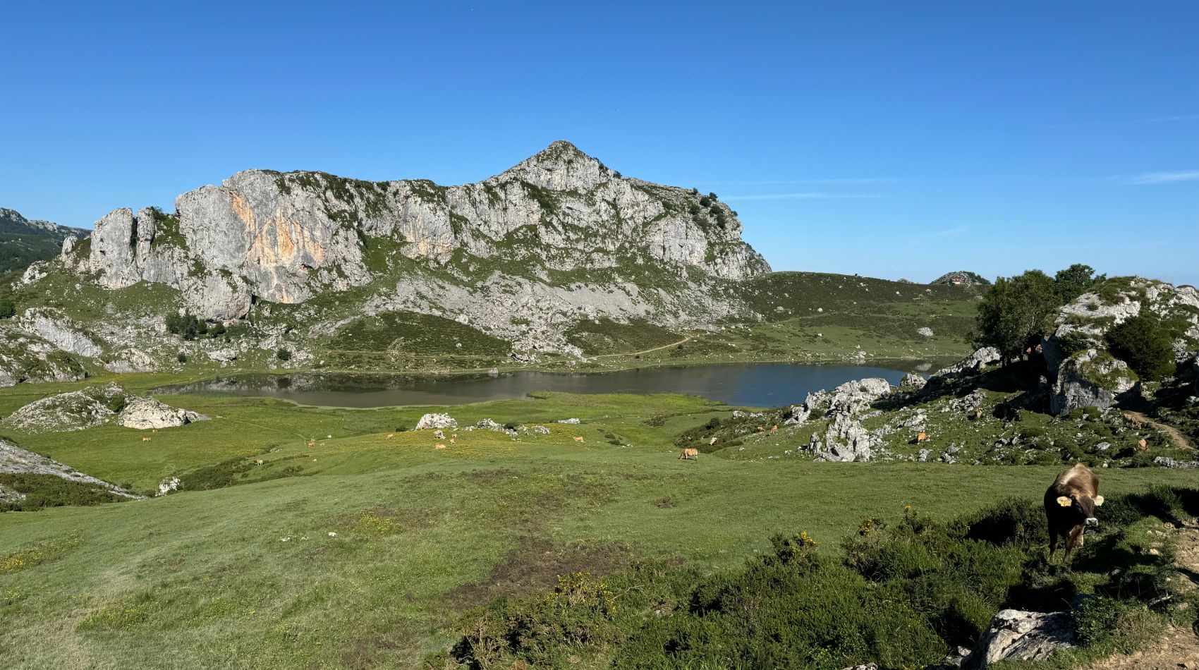 PICOS EXTREME5 → Strike Tours