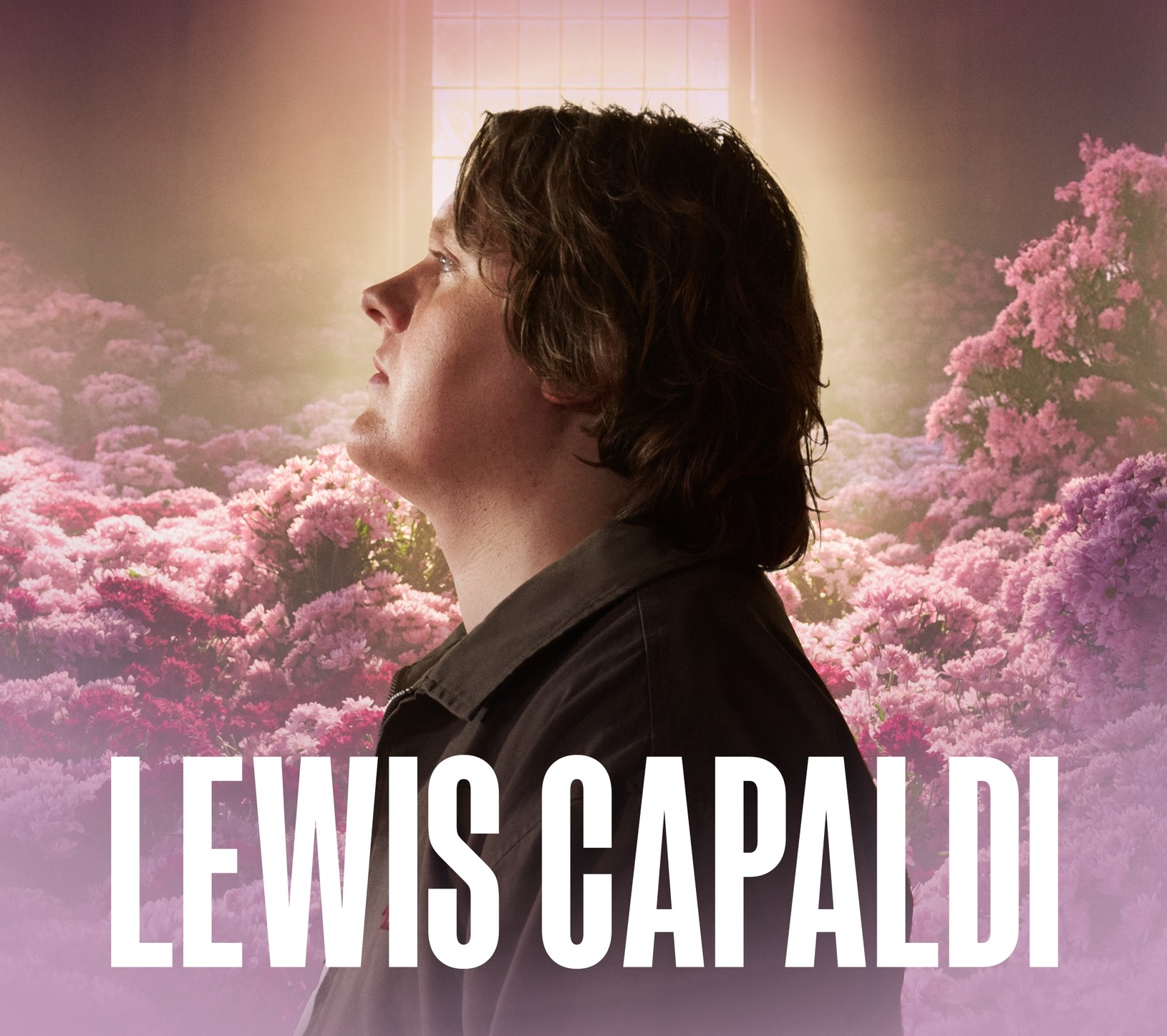 Lewis Capaldi → Strike Tours